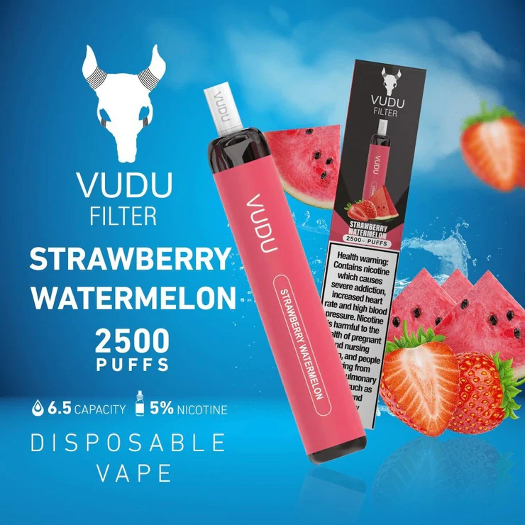 VUDU FILTER DISPOSABLE 2500 PUFFS 5%